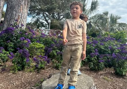 Raised for Family of 6-Year-Old Killed in San Diego Hit-and-Run