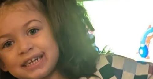 Heartbreaking Loss in Harrison Township: In Loving Memory of Sweet Little Karma