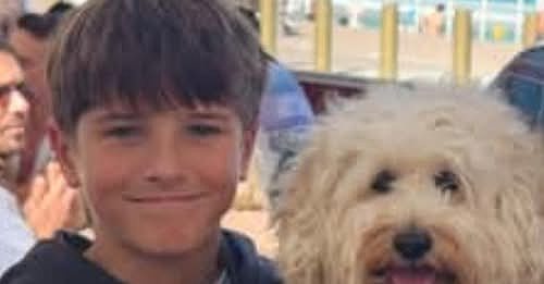 Tragic Loss: 12-Year-Old Nico Antic Dies After Shark Attack in Sydney