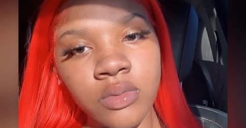 St. Clair Shores Mourns Shutup Shy After Fatal I-94 Crash