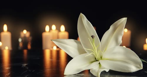 Hit-and-Run Tragedy: Steven Hulsey Killed on Baltimore Pike