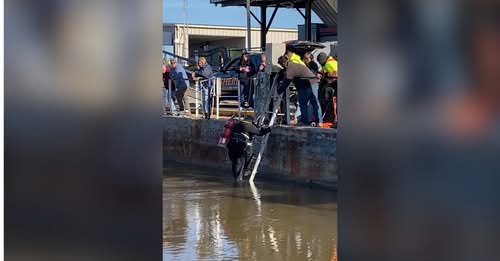 Tragic River Crash in Columbus, Kentucky Claims Three Lives