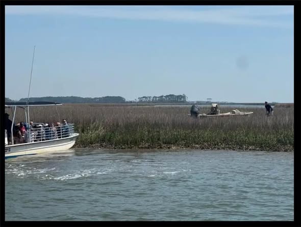Urgent Search Underway for Missing Man on Stono River