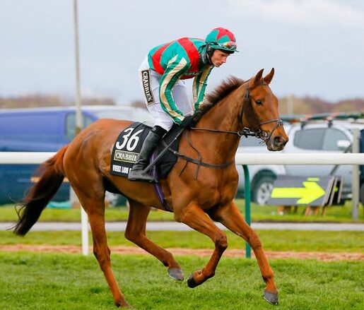 Legendary Racehorse Vieux Lion Rouge Passes Away