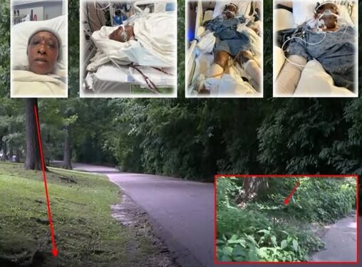 Mystery Surrounds Brutal Attack on Mother of Three