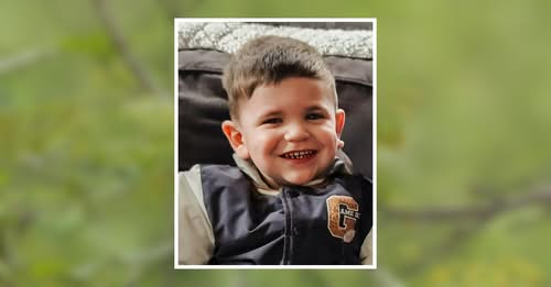 Luca Rose Obituary, Saratoga Springs, NY Death: Tragic Accident Claims the Life of a Vibrant and Beloved Local Resident