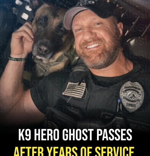 K9 Ghost Obituary, Palm Beach County, FL Death: Celebrating the Remarkable Life and Service of K9 Ghost Following April 24th News